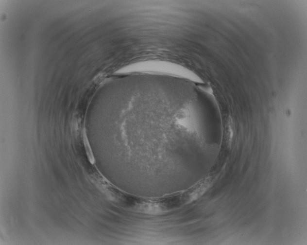 X0000083560276200702231611