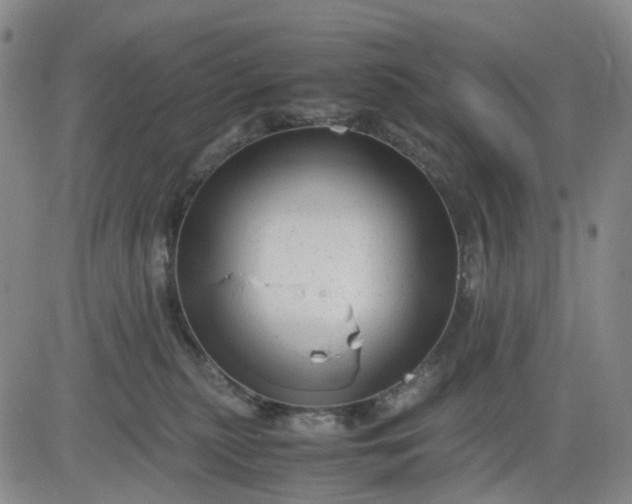 X0000083560279200702231611