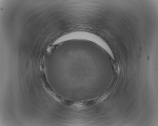 X0000083560280200702231611