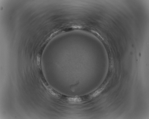 X0000083560281200702231611