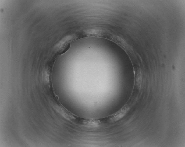 X0000083560282200702231612