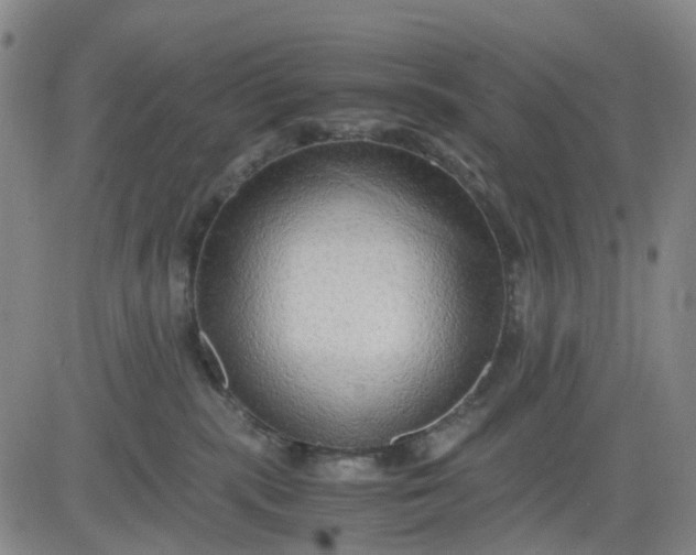 X0000083560283200702231612