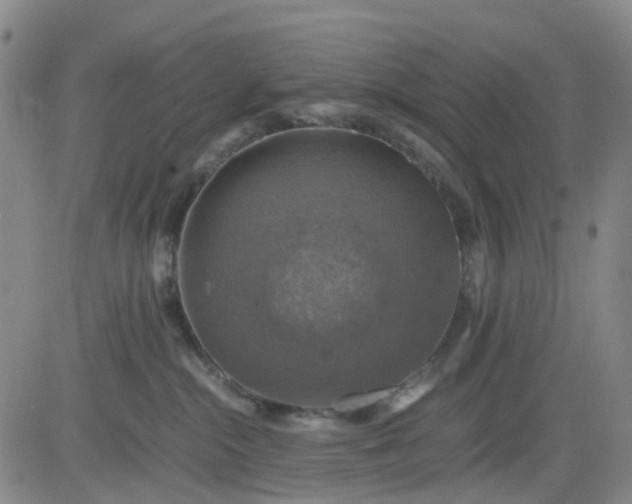 X0000083560284200702231612