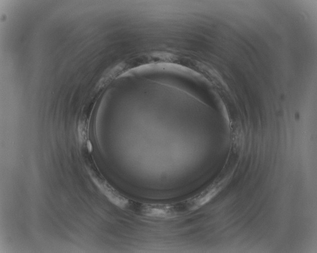 X0000083560285200702231612