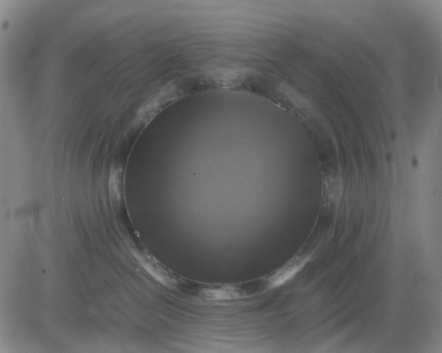 X0000083560286200702231612