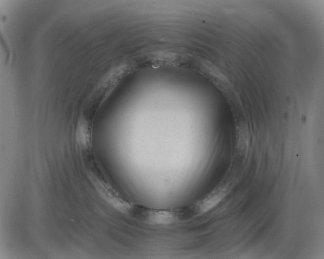 X0000083560287200702231612