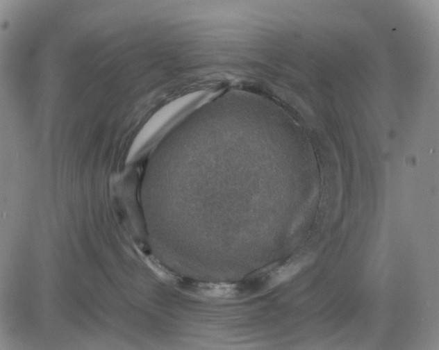 X0000083560288200702231612