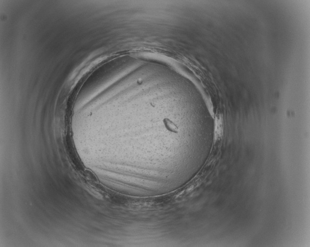 X0000083560291200702231611