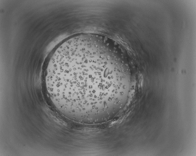 X0000083560292200702231611