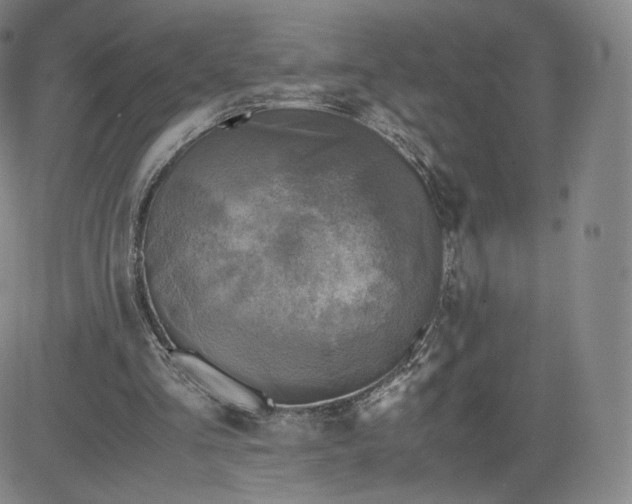 X0000083560293200702231611