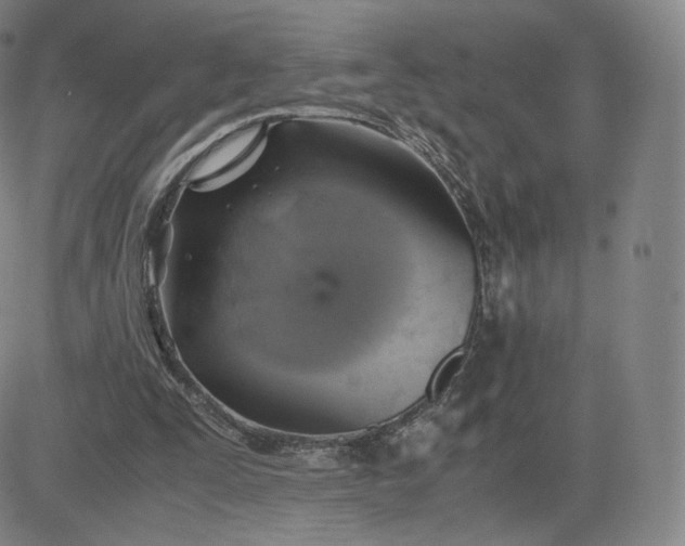 X0000083560295200702231611