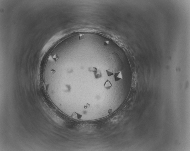 X0000083560296200702231611