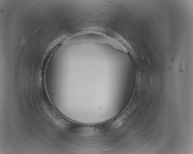 X0000083560298200702231611