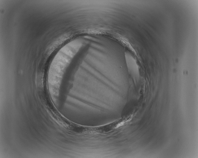 X0000083560299200702231611