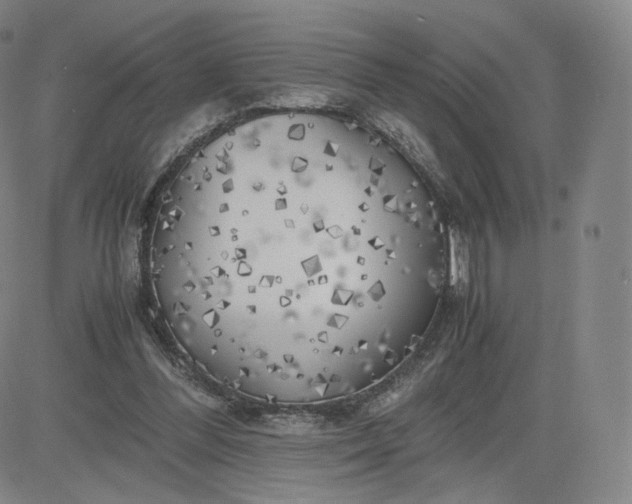 X0000083560300200702231611