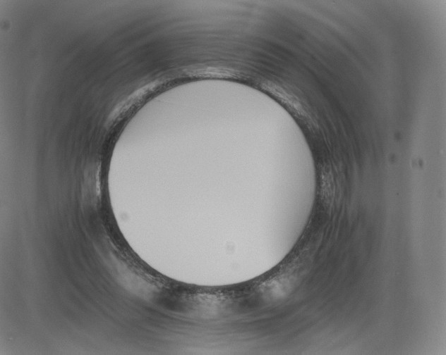 X0000083560302200702231611