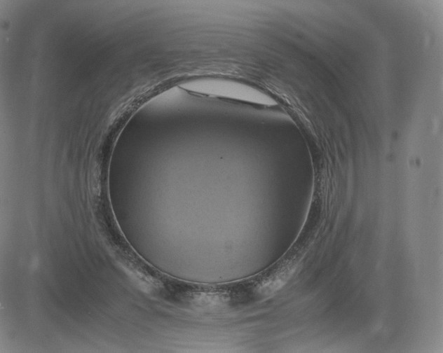 X0000083560303200702231611