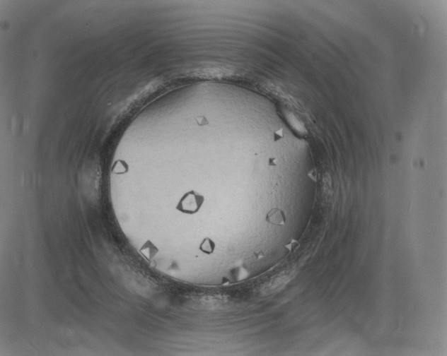 X0000083560304200702231611