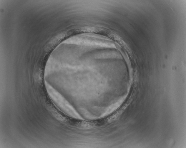 X0000083560305200702231611