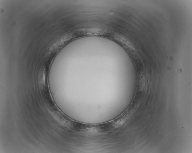 X0000083560310200702231610