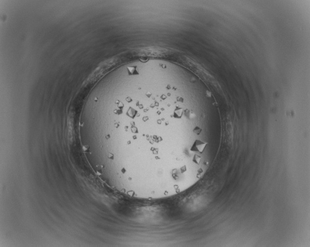 X0000083560312200702231610