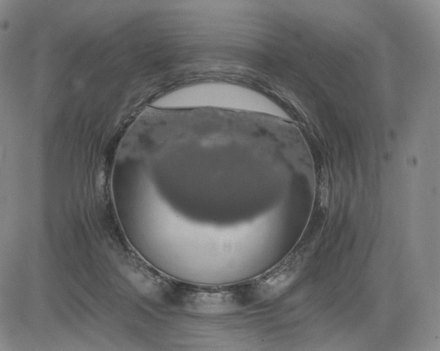 X0000083560314200702231610