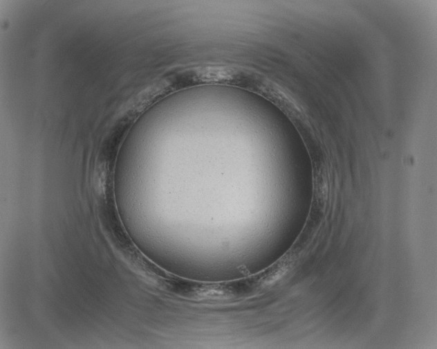 X0000083560315200702231610