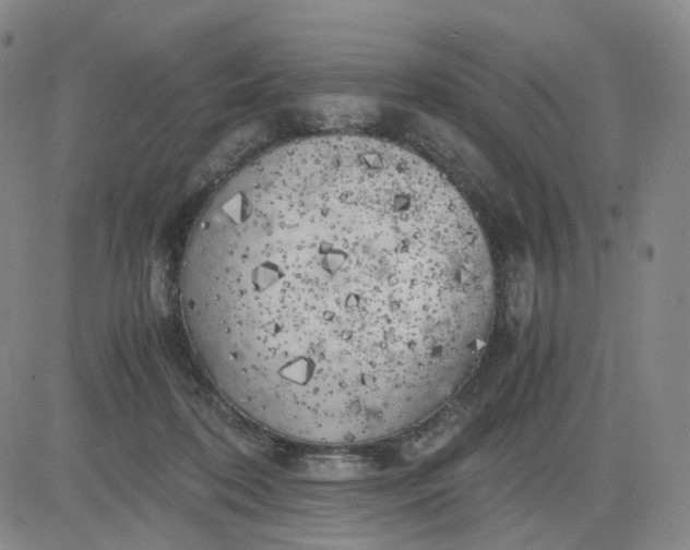 X0000083560316200702231610