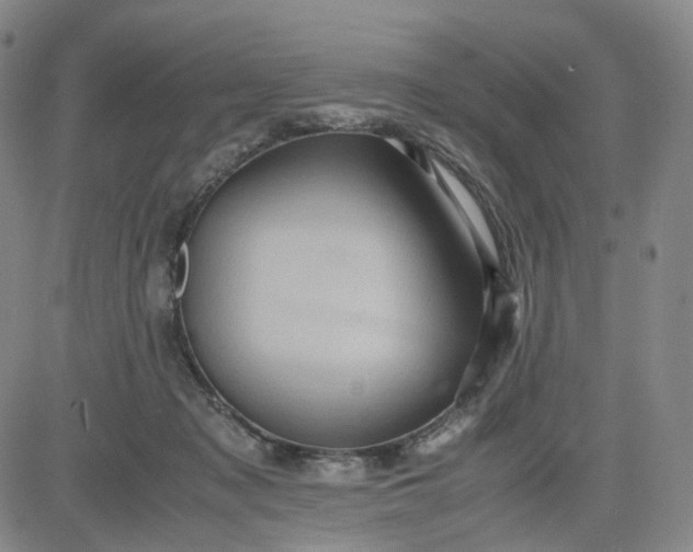 X0000083560317200702231610