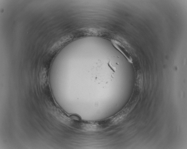 X0000083560318200702231610