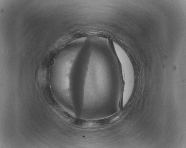 X0000083560319200702231610