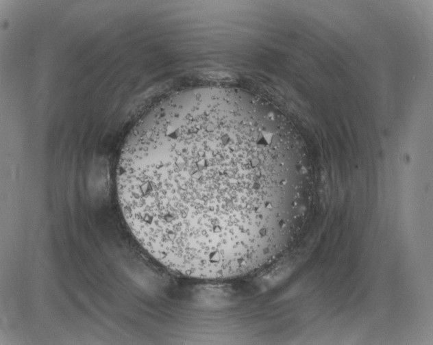 X0000083560320200702231610