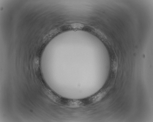 X0000083560321200702231610