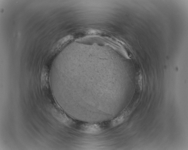 X0000083560322200702231610