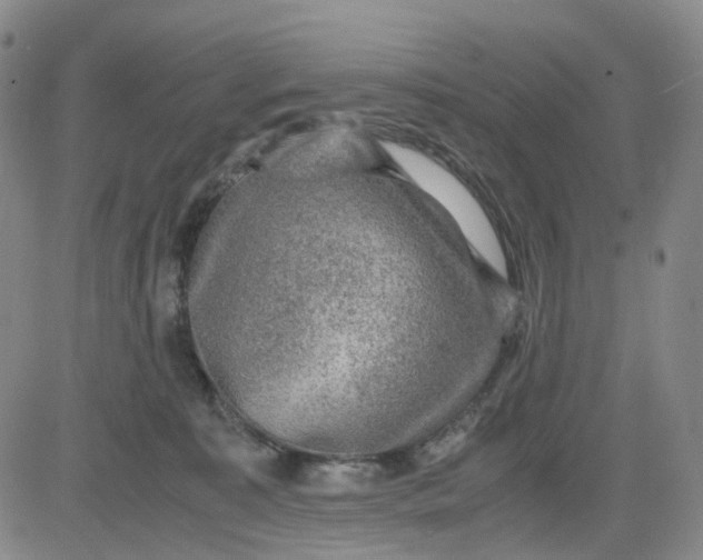 X0000083560323200702231610