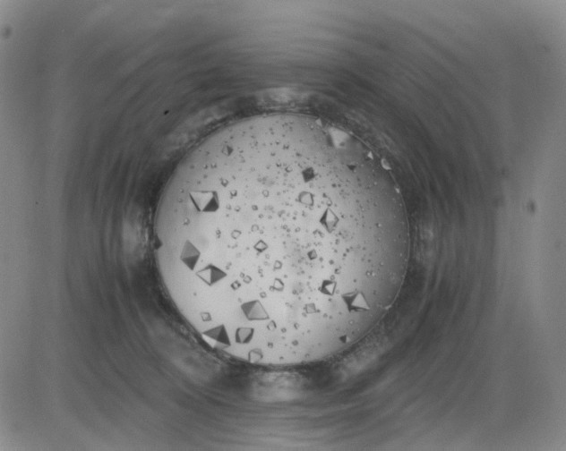 X0000083560324200702231610