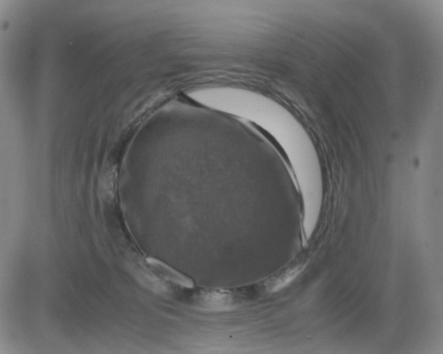 X0000083560325200702231610