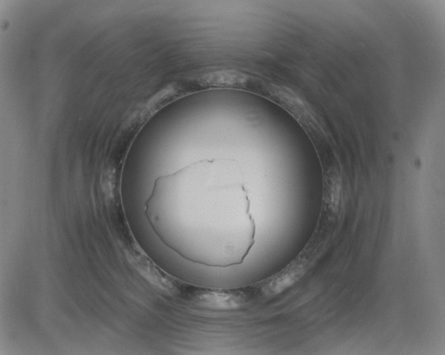 X0000083560326200702231610