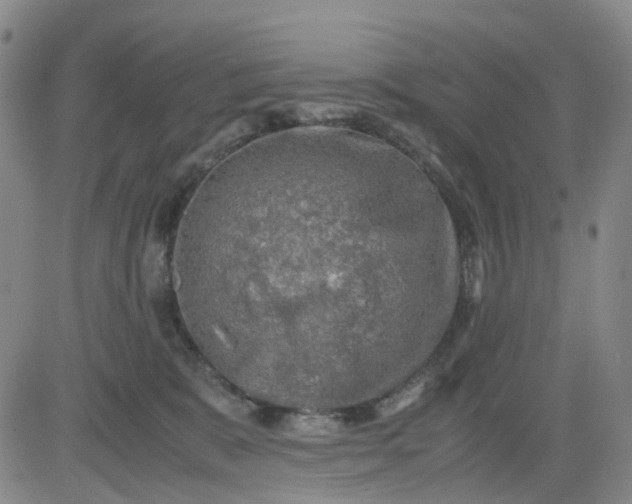 X0000083560327200702231610