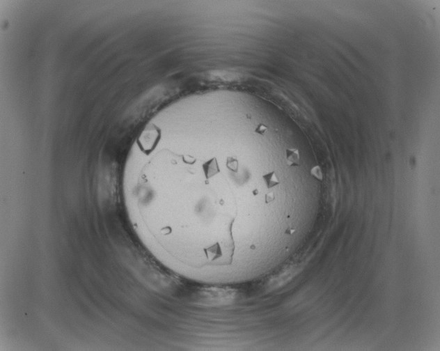 X0000083560328200702231610