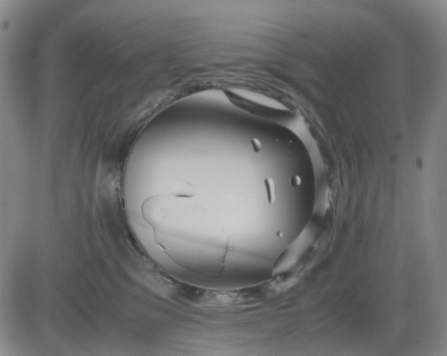 X0000083560329200702231610