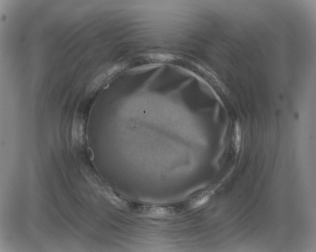 X0000083560330200702231610