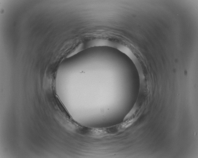 X0000083560333200702231610