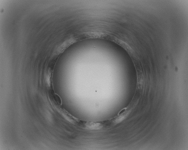 X0000083560334200702231610