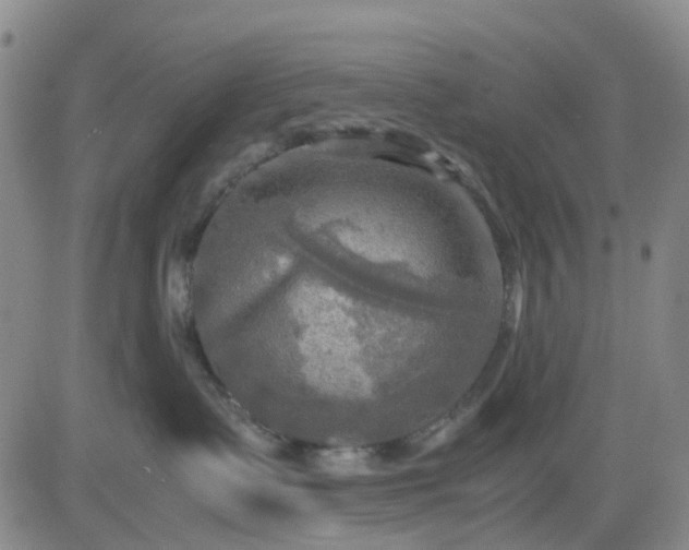 X0000083560335200702231610