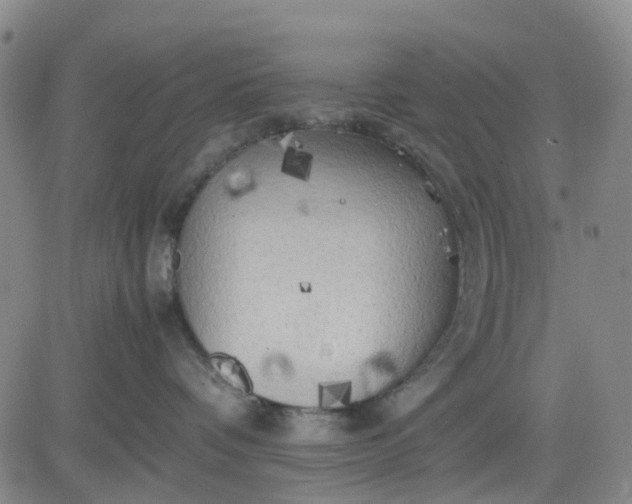 X0000083560336200702231610