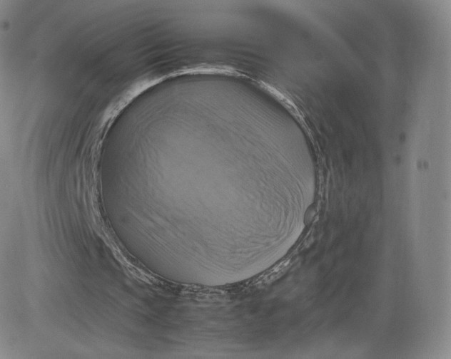 X0000083560337200702231609