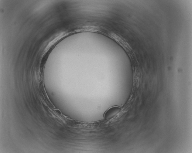 X0000083560338200702231609