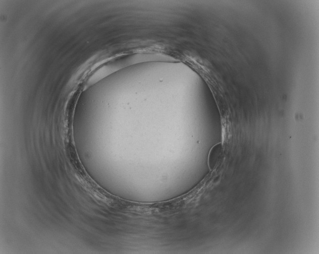 X0000083560339200702231609