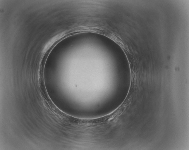 X0000083560340200702231609